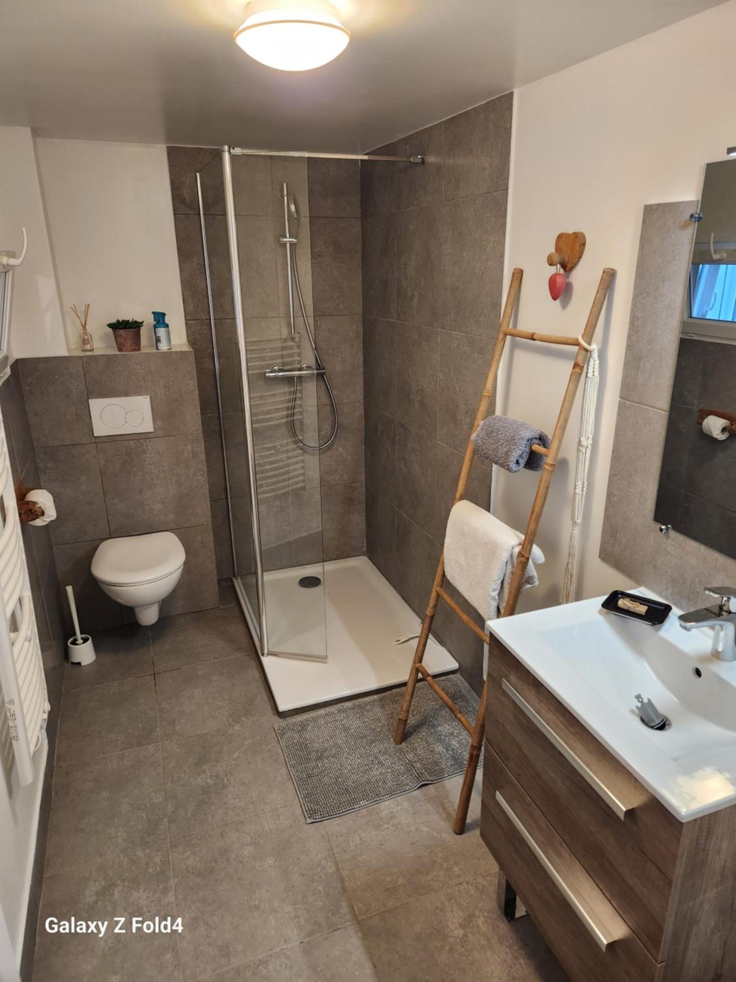 Figuets 3 Apartman Chateauneuf-de-Galaure Kültér fotó