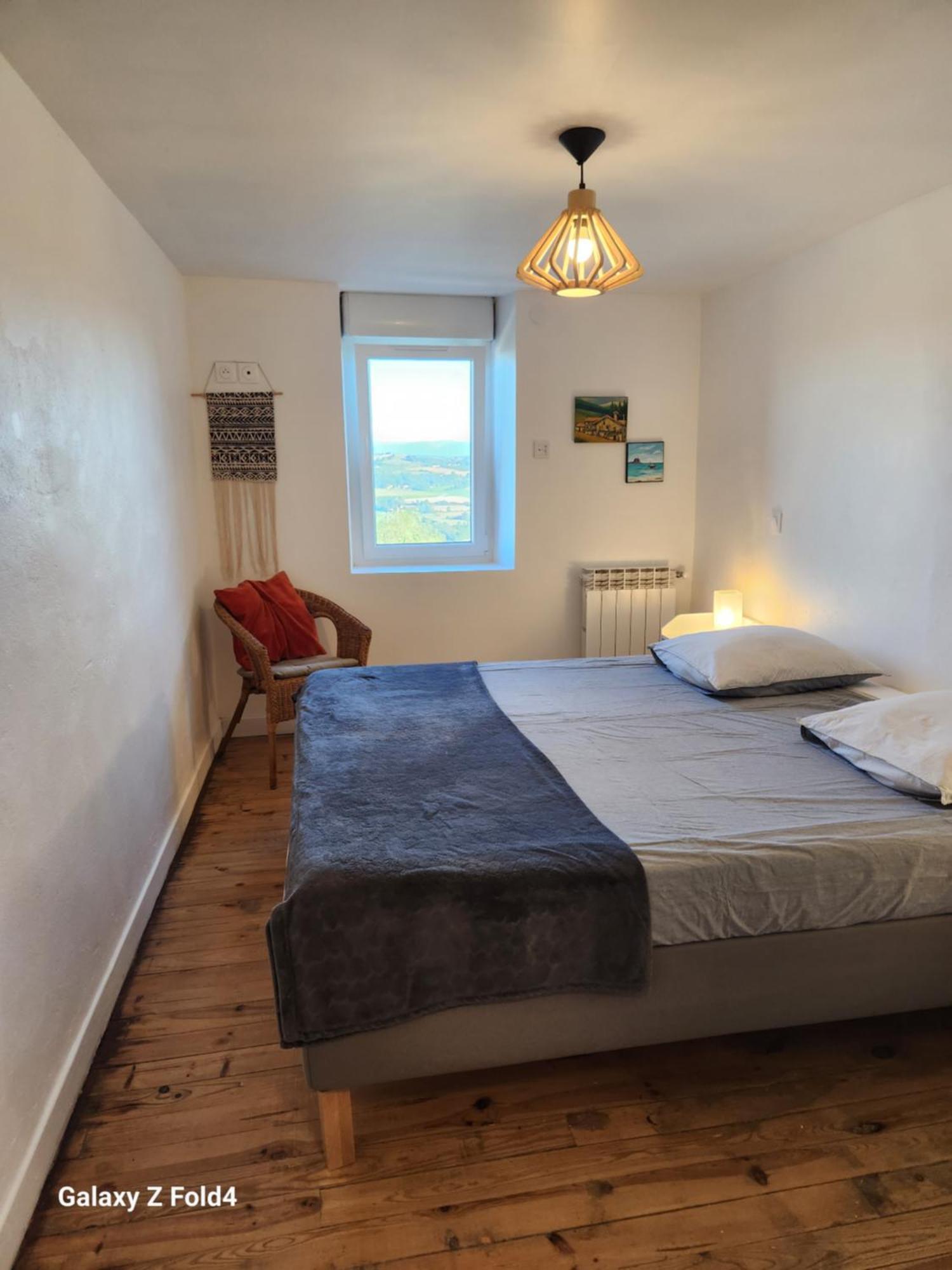 Figuets 3 Apartman Chateauneuf-de-Galaure Kültér fotó